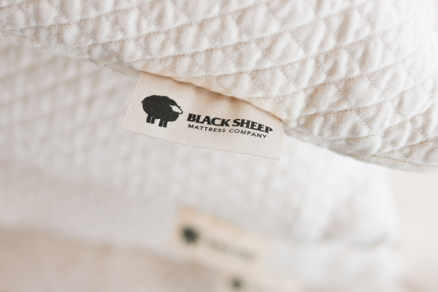 Close up of Black Sheep Mattress label on a 100% natural talalay latex pillows in organic cotton case