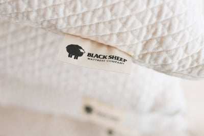 Close up of Black Sheep Mattress label on a 100% natural talalay latex pillows in organic cotton case