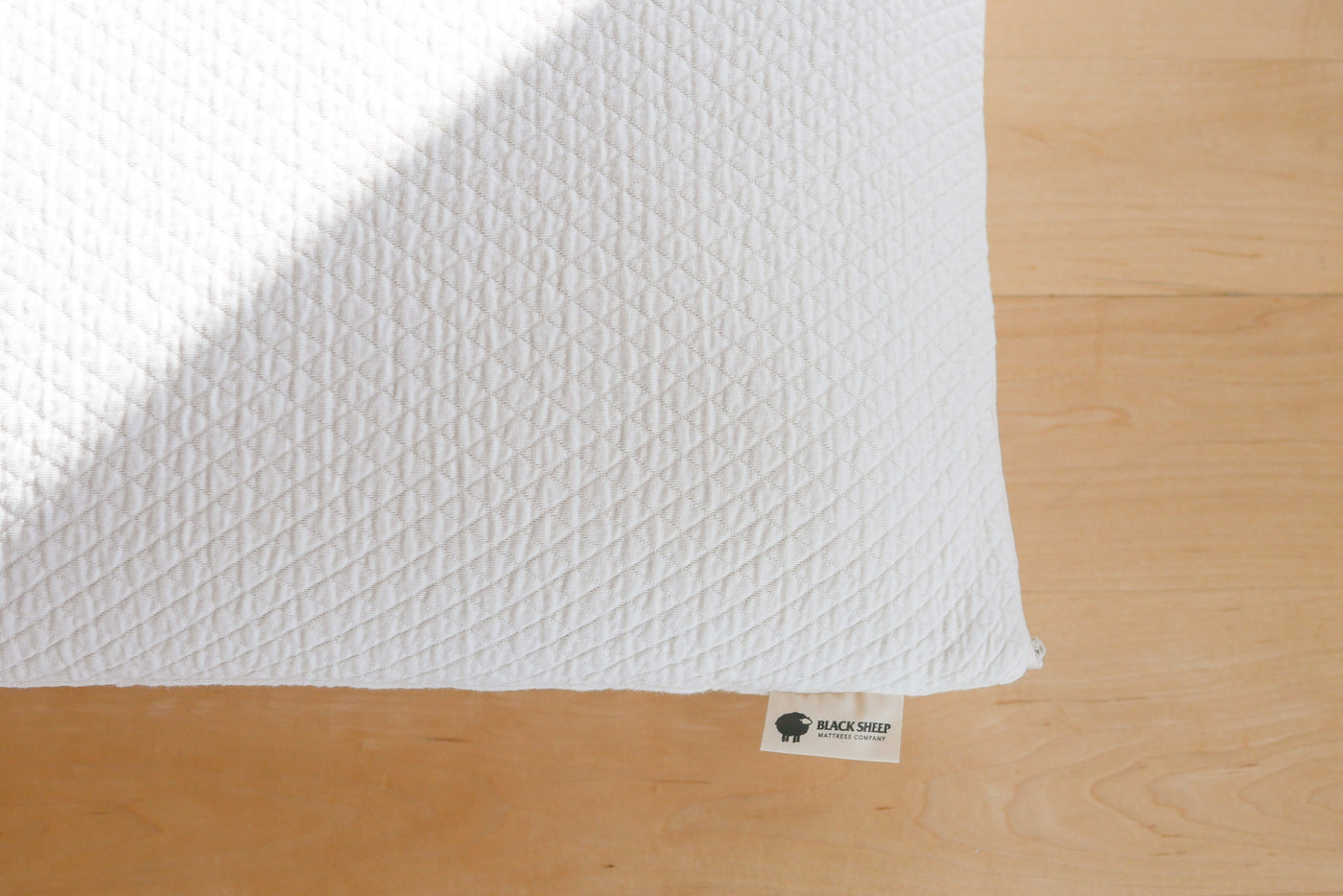 100% natural talalay latex pillows in organic cotton case