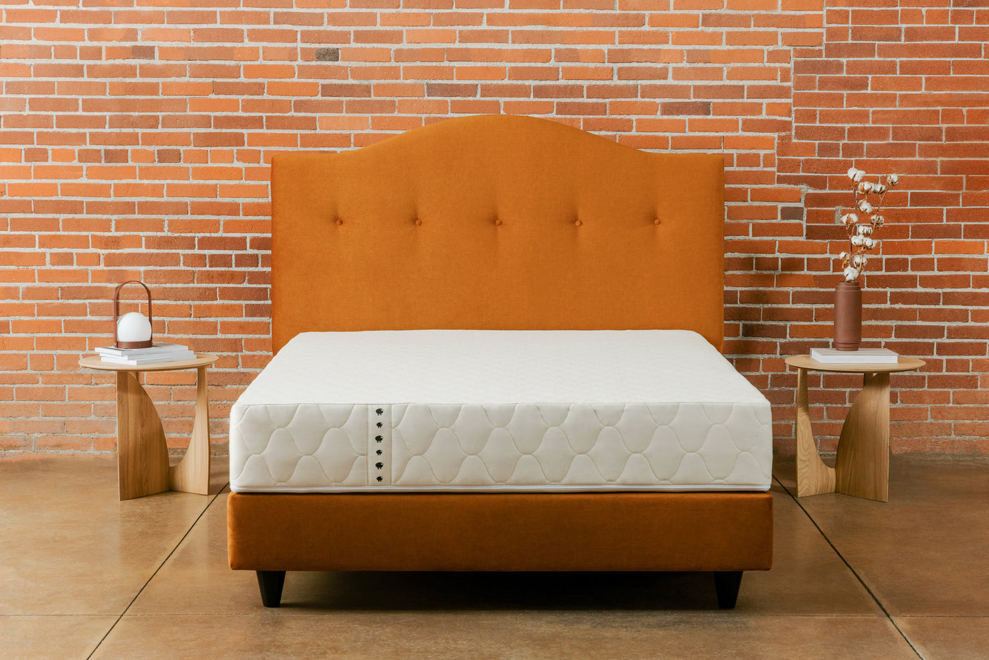 Queen camelback upholstered headboard with 5 buttons and a upholstered padded bed base and a natural latex mattress on top