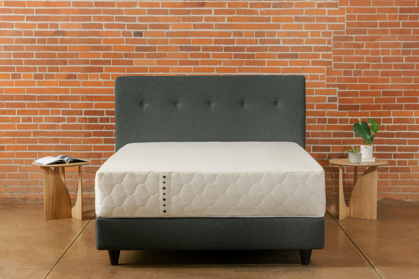 Queen square upholstered headboard with 5 buttons and a upholstered padded bed base with natural hybrid mattress on top